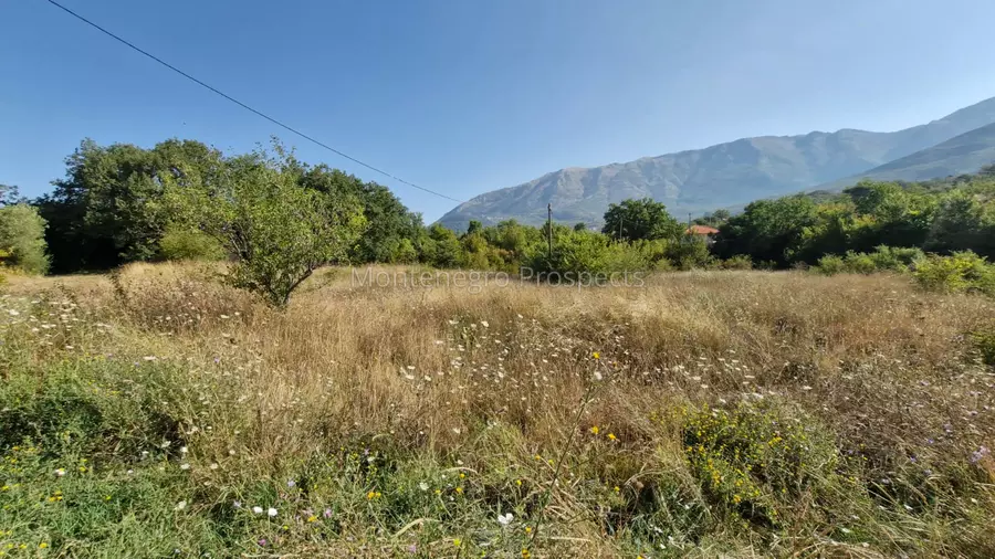 Land for sale kotor radanovici 3