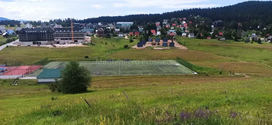 S16145 1